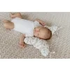 15393 2 stabilizac ni pols ta r ek butterfly pillow 3