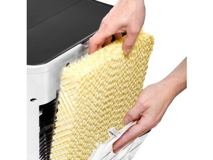 PAE81 filter change
