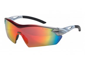 Safety glasses MSA Racers mirror dark