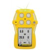 Detektor (1 až 4 plynový) BW GasAlert Quattro (Detekované plyny CO (oxid uhelnatý))