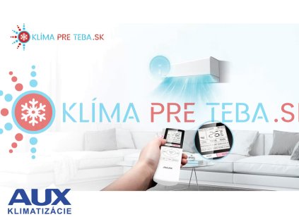 c smart sk 1