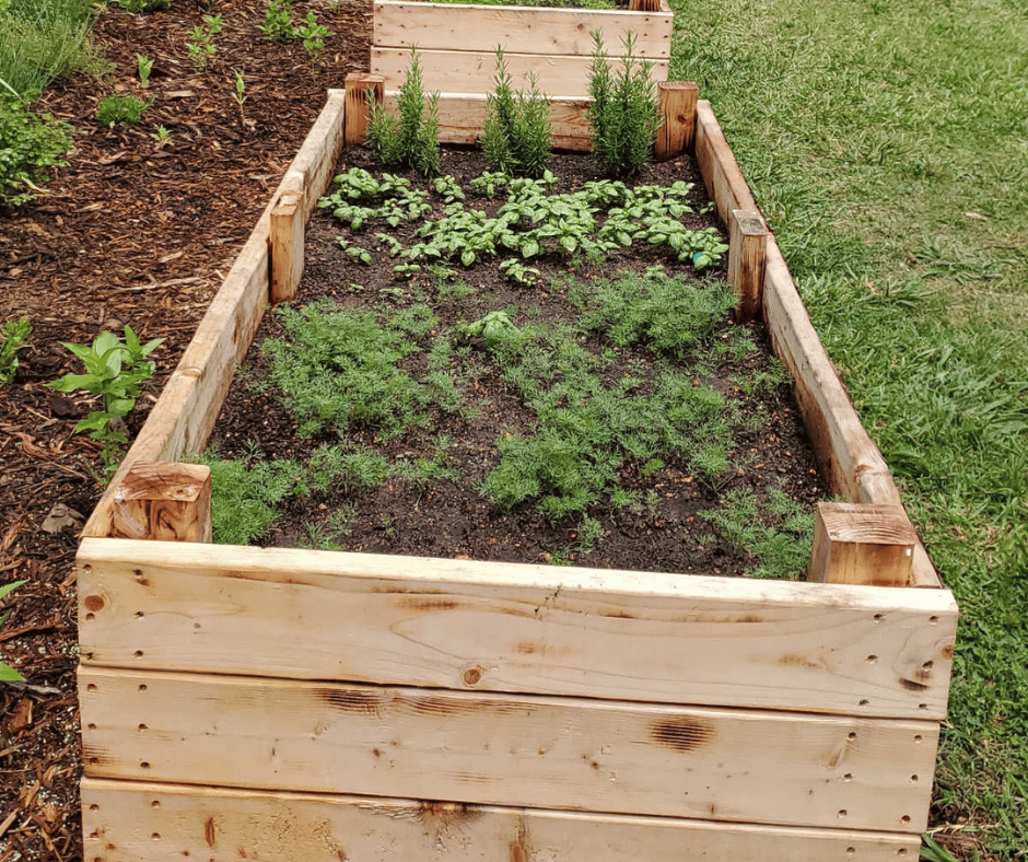 Stavba vyvýšeného záhona: Zoznam materiálu, aby ste na nič nezabudli