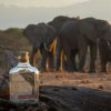 70 1 elephant gin