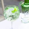 G Vine Gin2