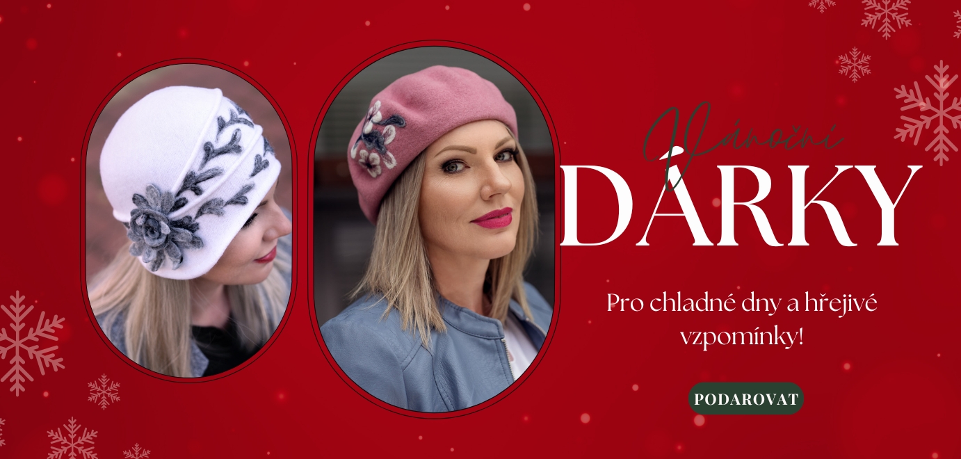 Vánoční průvodce