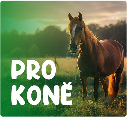 Pro koně