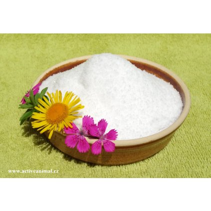 MSM (methylsulfonylmethan) 99,9% - prášek 1g
