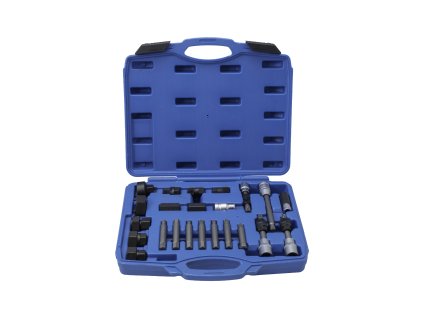 395280 klice na alternatory sada 22 dilu quatros qs20236 2