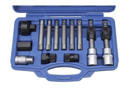 394599 sada na demontaz remenic alternatoru 13 kusu quatros qs20352 5