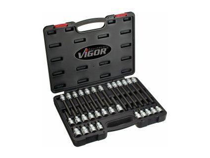 405849 sada zastrcnych hlavic imbus sestihran 5 19mm 30ks vigor v1919 01