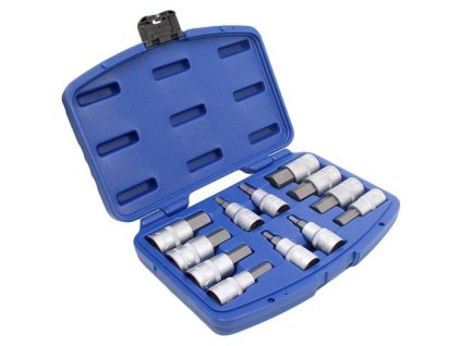 417315 zastrcne hlavice imbus asta a shex12