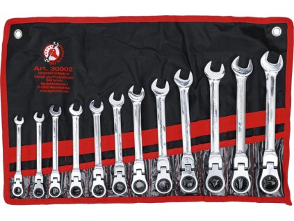 466672 ockoploche racnove klice 8 19 mm s kloubem sada 12 dilu v obalu