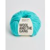 CSW Magic Mint.jpg20180518 156 1dea2mf