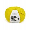 CSW Big Bird Yellow NEW.JPG20180518 156 ddfcp4