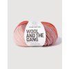 Feeling Good Yarn FGY Sugar Pink Stripe 01
