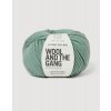 Lil Crazy Sexy Wool LCSW Eucalyptus Green