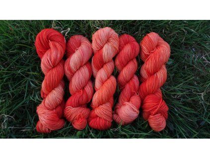 Lososová (Melír, superior, 230/100)