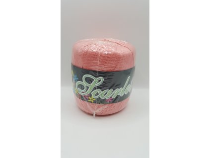 20241220 120852 scaled