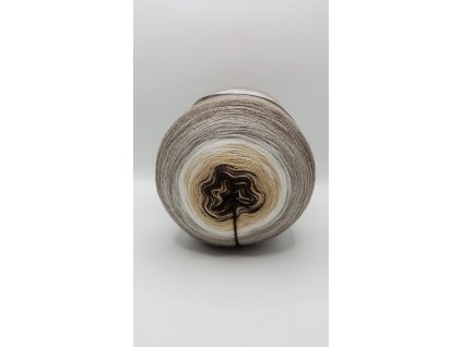 20250107 094252 001 scaled