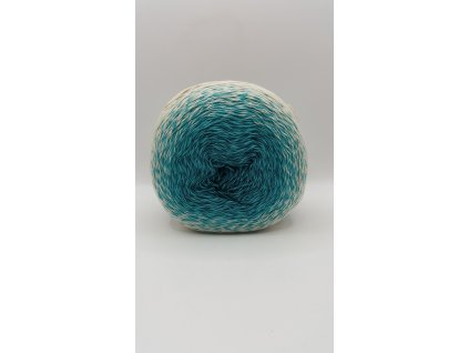 20250108 155959 scaled