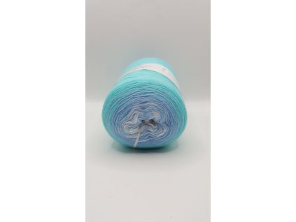 20250109 143324 scaled