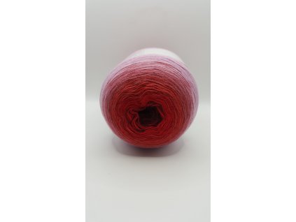 20250107 094220 scaled