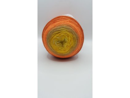 20250107 094158 scaled