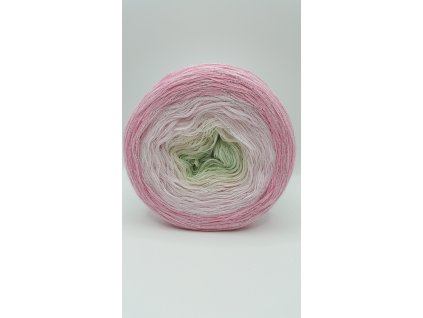 20241220 114801 scaled