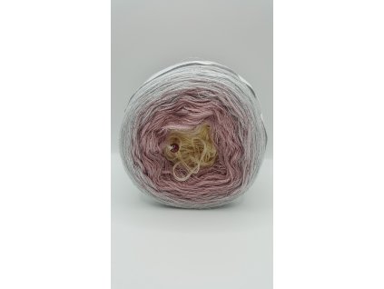 20241220 114526 scaled