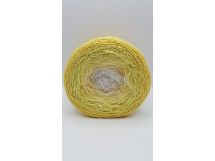 20241220 114850 scaled