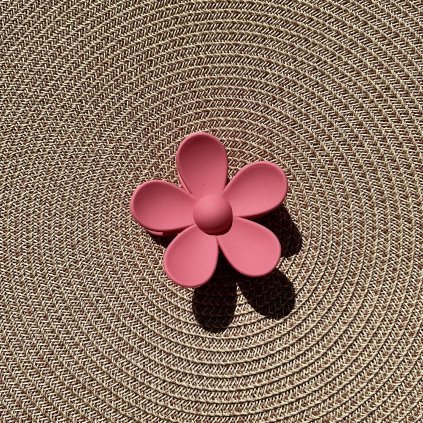 Skřipec Daisy – malinová zmrzlina