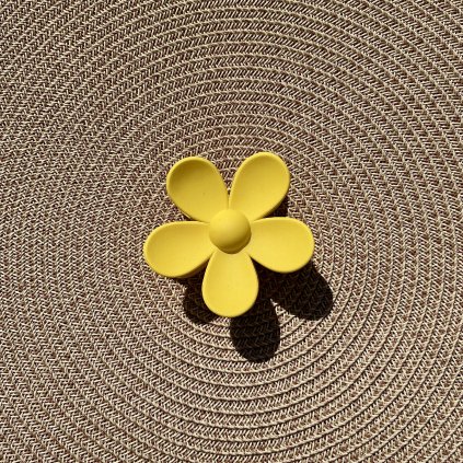 Skřipec Daisy – Sunny Pop