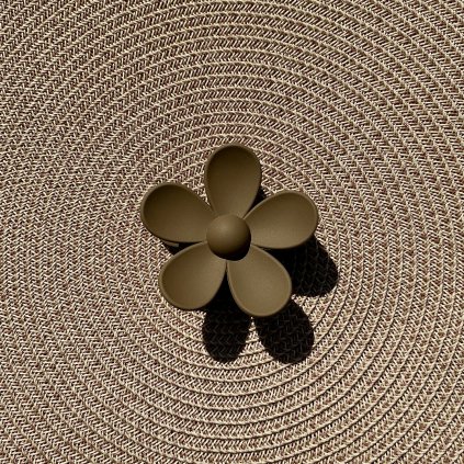 Skřipec Daisy – Brownie