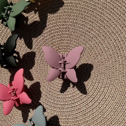 Skřipec motýlek – levandule