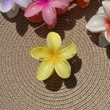 Skřipec havajská květina Plumerie – ananas