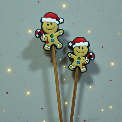 Photoroom 20251210 142153766 Photoroom (3)