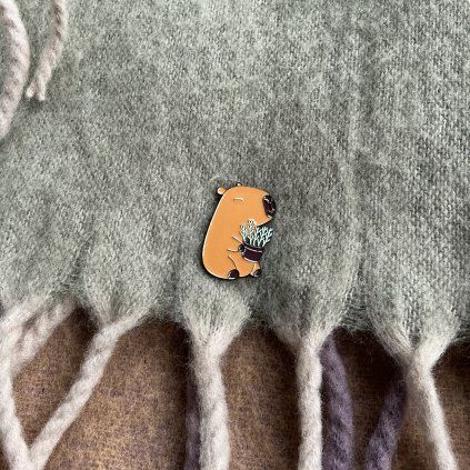 Pin kapybara s rostlinou