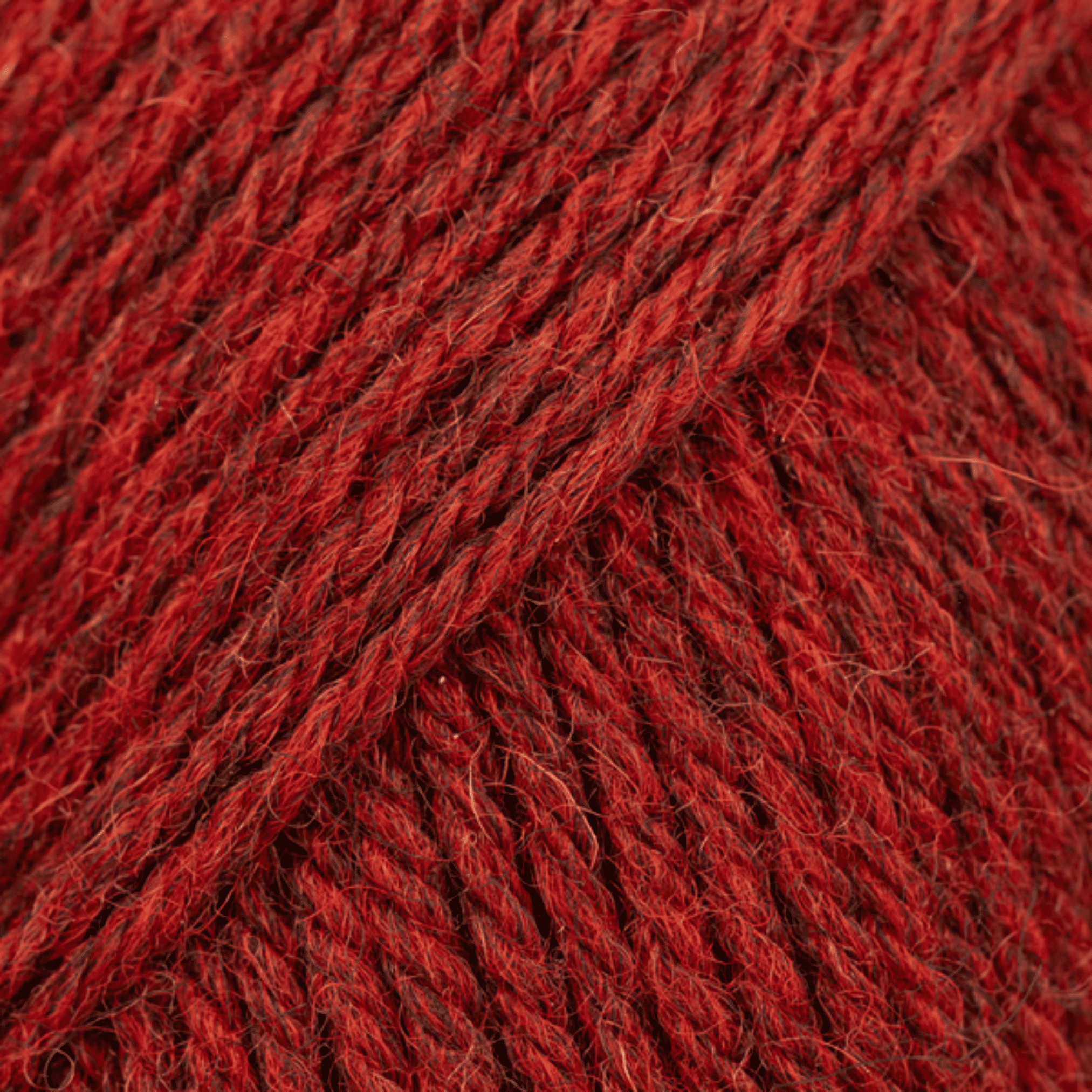 DROPS Saga 43 – paprika