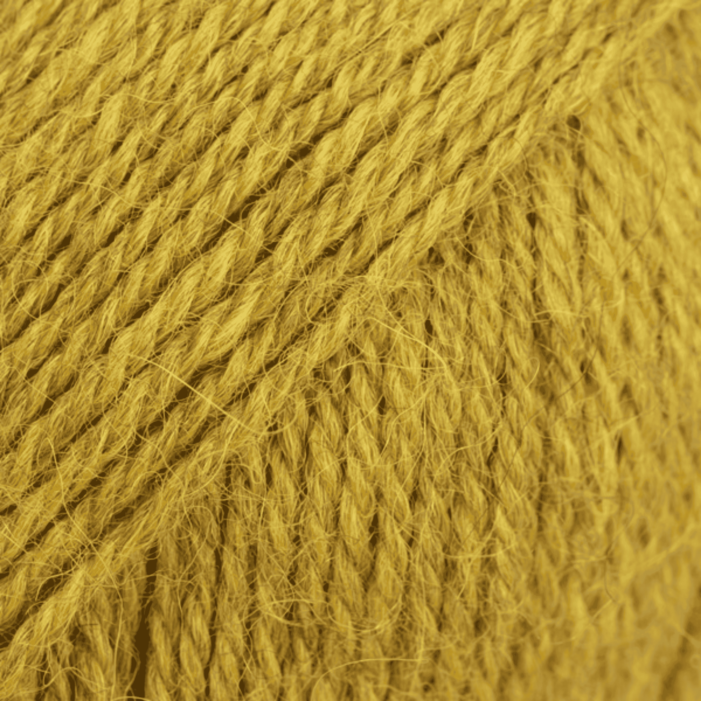 DROPS Alpaca 9029 – pšeničné pole