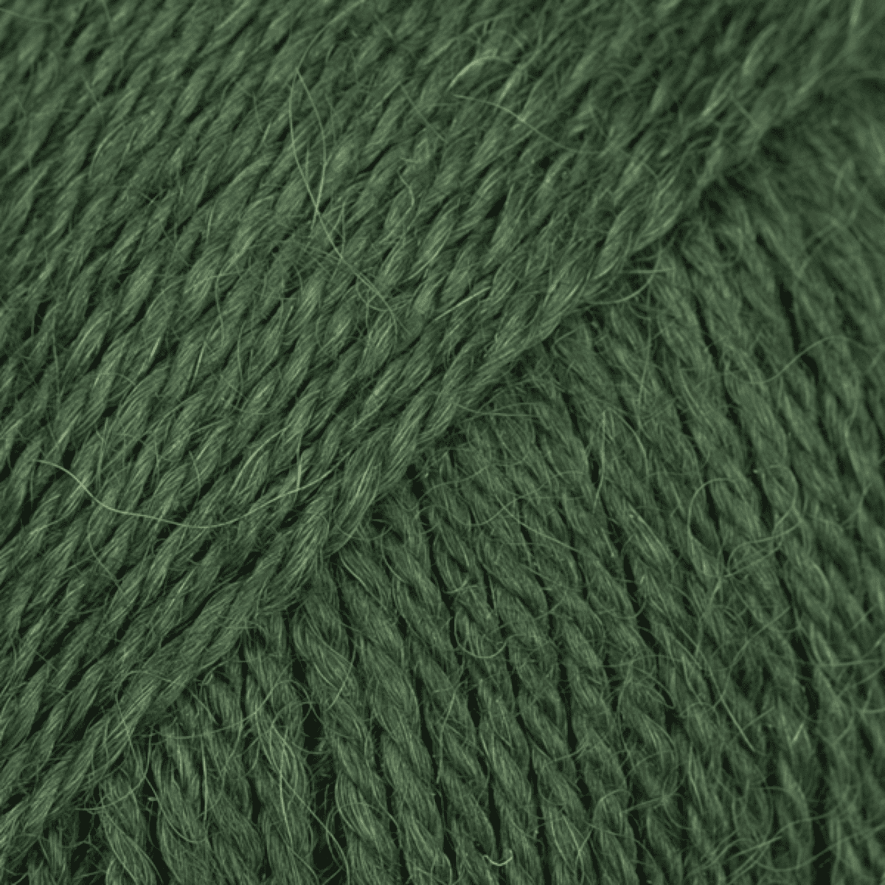 DROPS Alpaca 9032 – tmavý břečťan