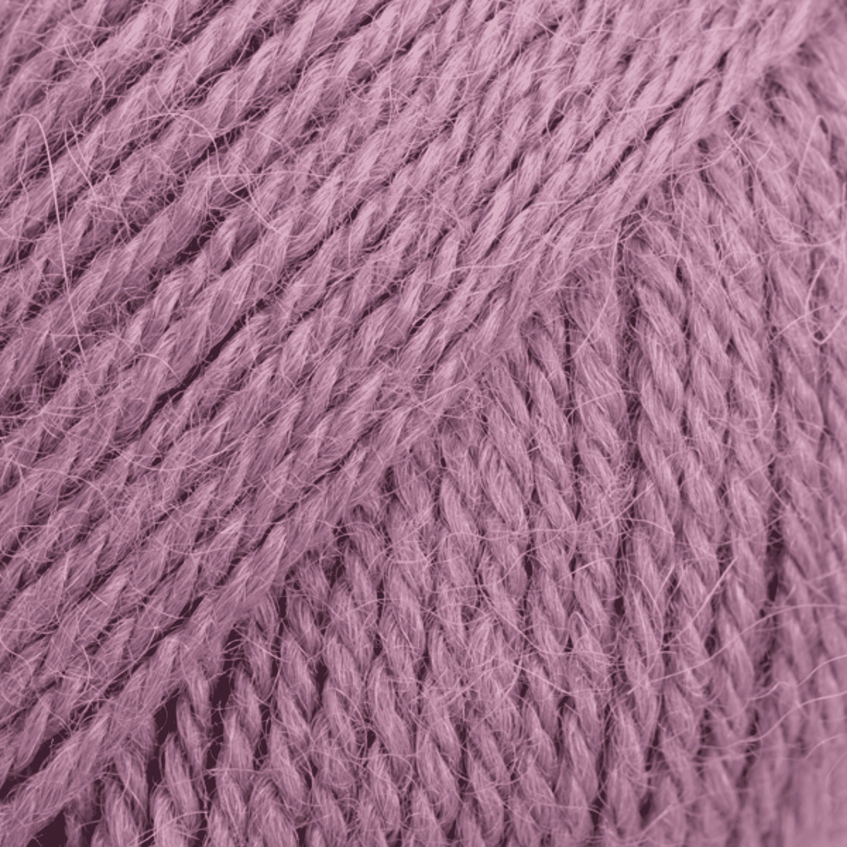 DROPS Alpaca 3800 – sléz