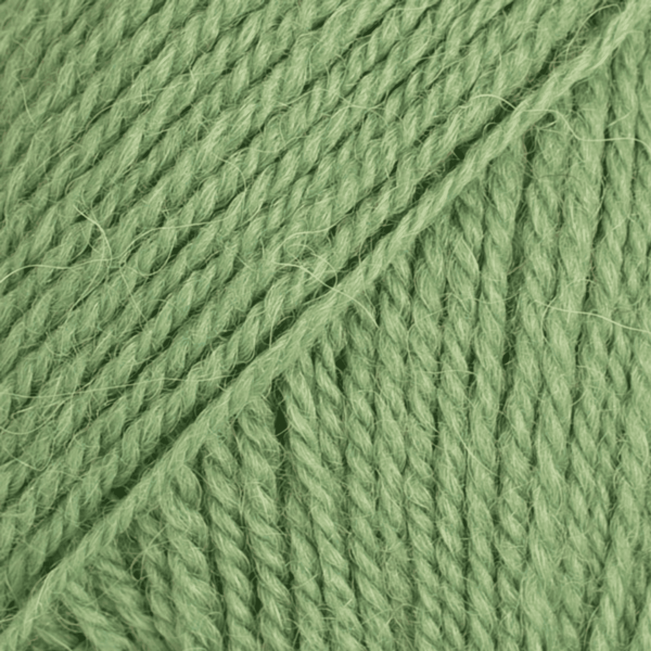 DROPS Flora 15 – zelená
