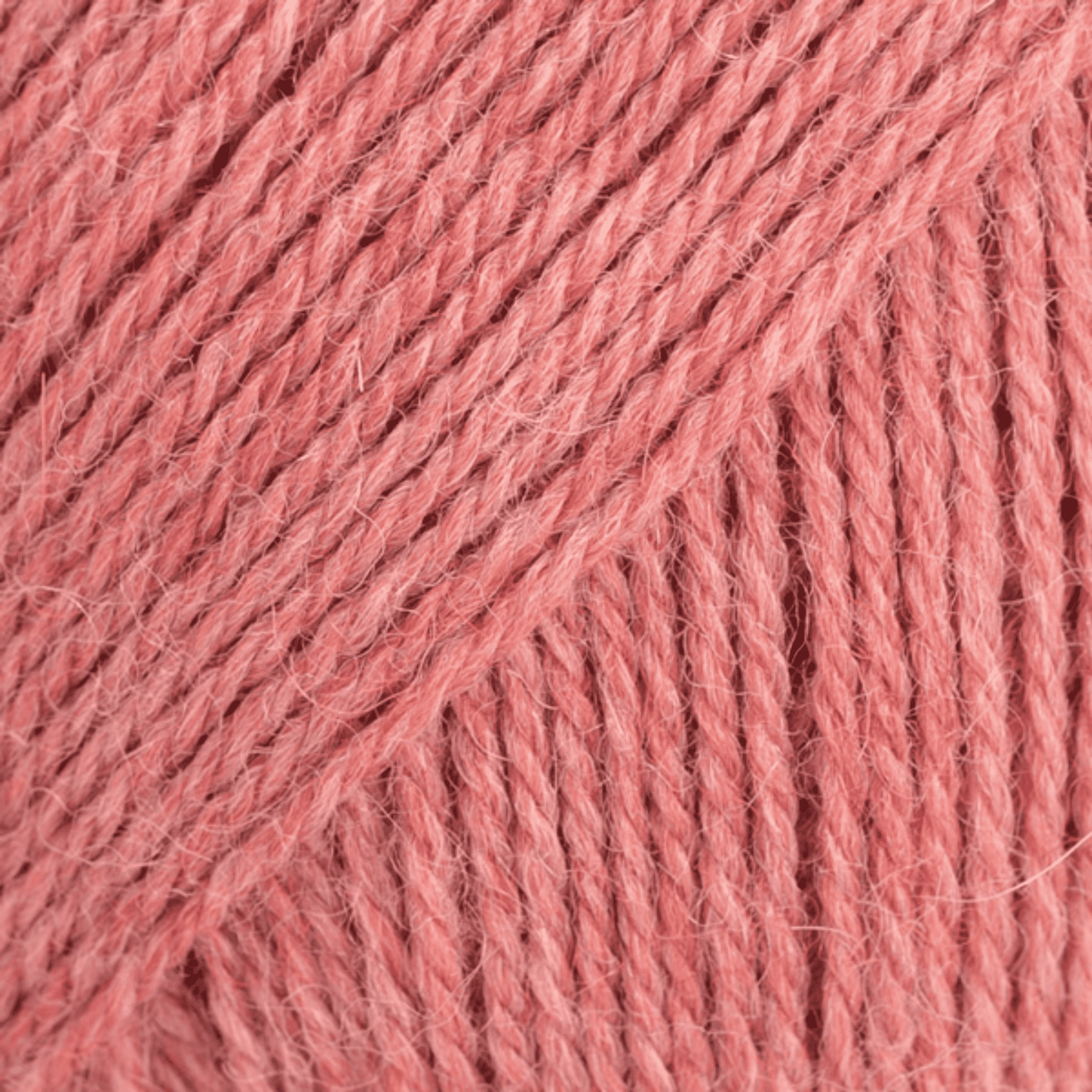 DROPS Flora 24 – růžová jahodová