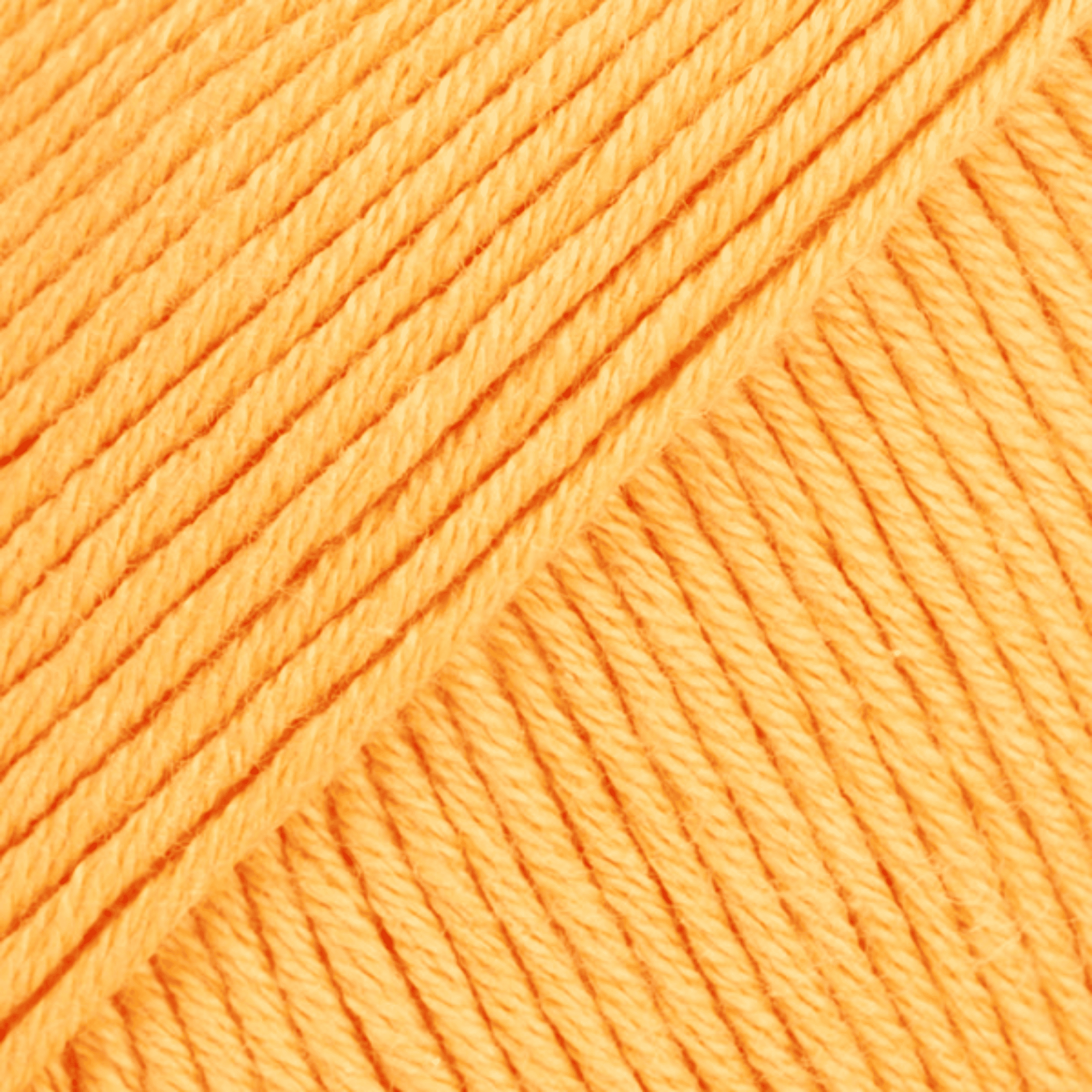 DROPS Safran 11 – slunečnice