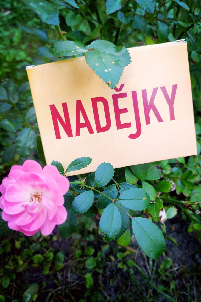 Nadějky-Klubovna-Naděje-karta-3