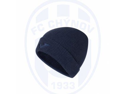 FCChynov22