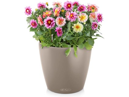 71g6bXxu0GL. AC SL1500