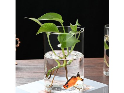 71Z+0w9idLL. AC SL1500