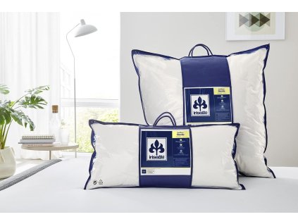 61nnSSgjbeL. AC SL1340