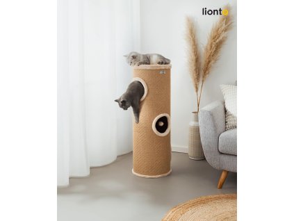 71jKPS+VewL. AC SL1500